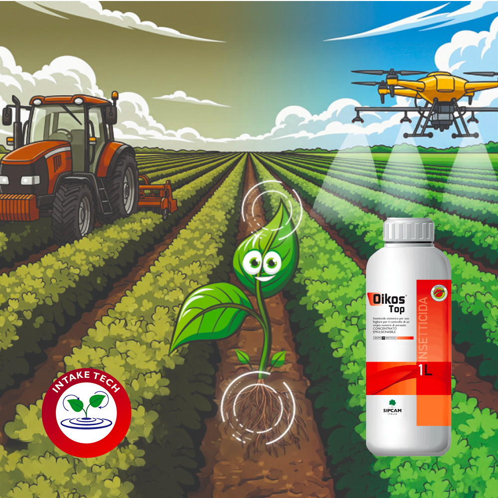 Oikos Top: tutti i vantaggi delle miscele con fisioattivatori